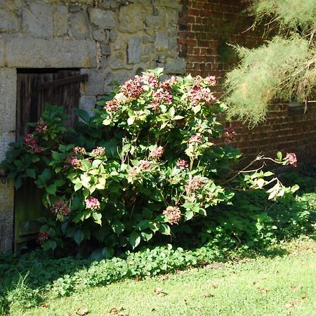 Gite La Grange D'Herbuchenne Dinant Exteriér fotografie